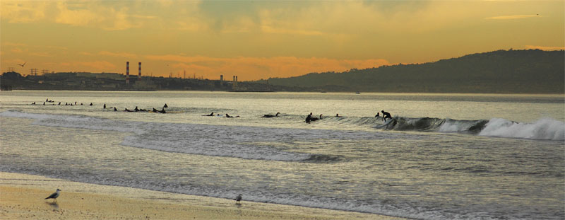 CA Surfing in December