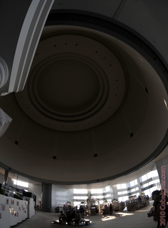 DSC_3775_CSweb