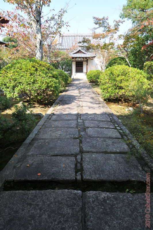 DSC_2882_CSweb