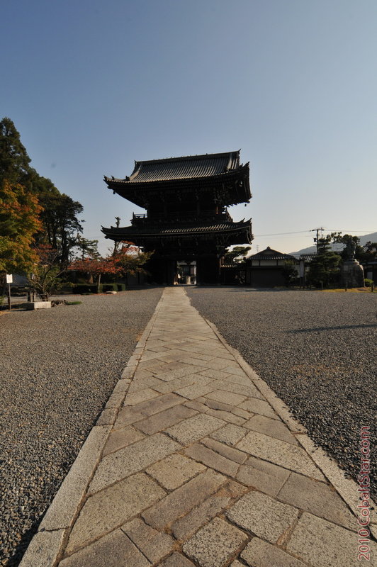 DSC_2908_CSweb