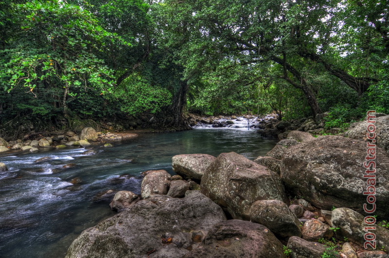 The Way to the Rope Swing