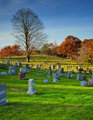 B'ville cemetery