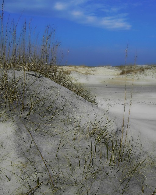 Topsail Dunes