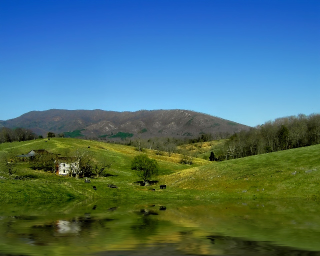 Virginia Farmland