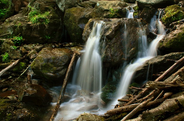 Portion of Dark Hollow Falls