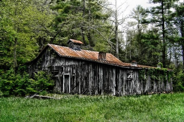 Old Cannery