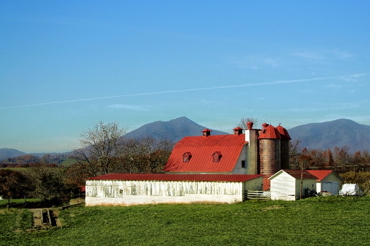 Farm Country