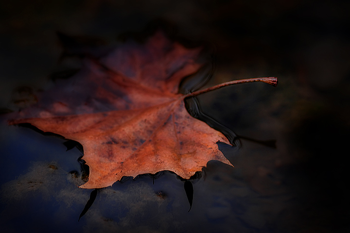 Stagnant