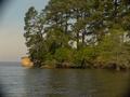 DSC00039.JPG