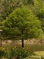 DSC00289.JPG