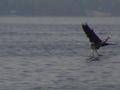 DSC00191.JPG