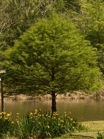 DSC00289.JPG