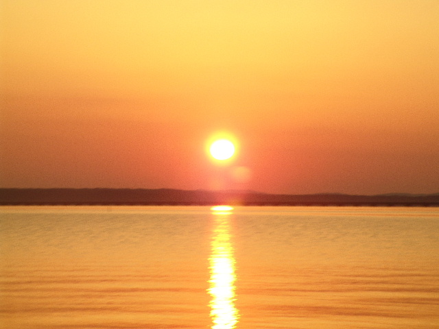 DSC00350.JPG