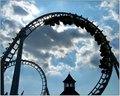 The Sea Serpent