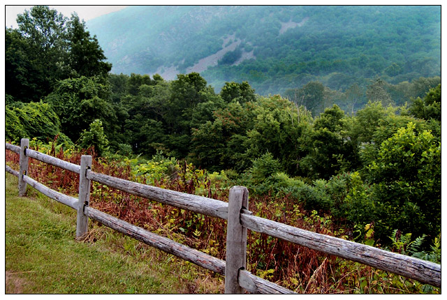 Mountain Mist