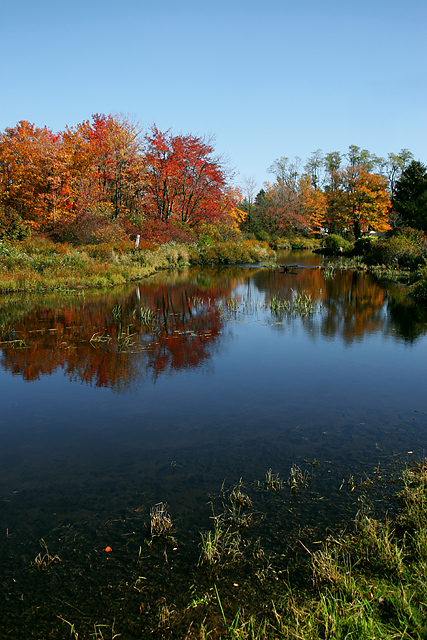 Autumn's Reflection