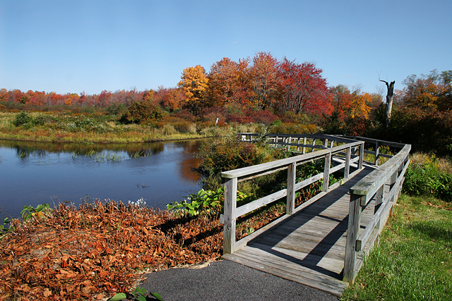 Autumn Colors