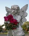 Angel with red rose
