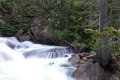 Mountain Stream