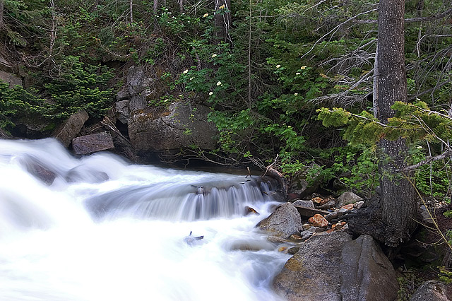 Mountain Stream