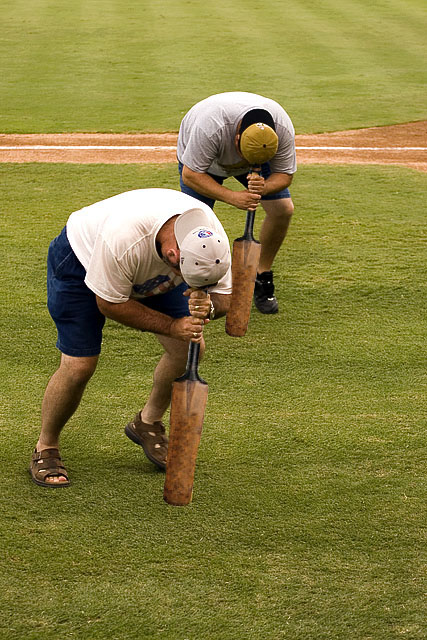 cricket bat spin.jpg