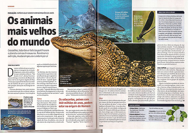 Alamy-tearsheet-AA96XF-Sabado-12-Jul-2007-Portugal-SMALL-DPC.jpg