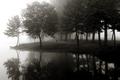 Silent Morning