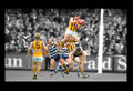 Luke Brennan Flies.jpg