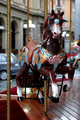 Horse in Piazza Della Republica Florence