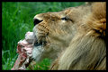 Lunchtime