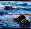 moonlight dreaming