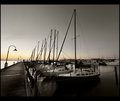 By Dawn's Early Light
