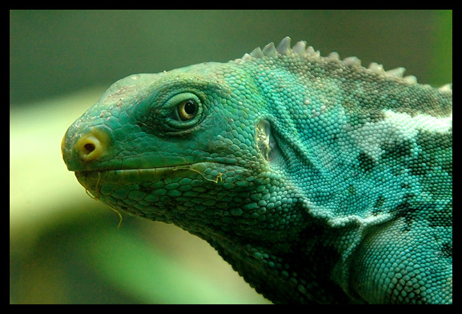 Are You Lookin' At Me?