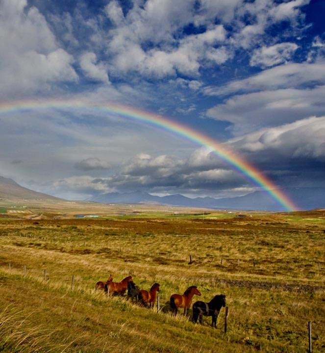 Watcing the rainbow 