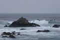 Asilomar State Beach