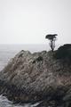 Point Lobos Seascape