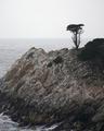 Point Lobos Seascape