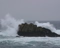 Asilomar State Beach