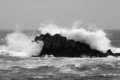Asilomar State Park