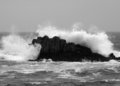Asilomar State Park