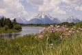 Oxbow Bend