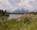 Oxbow Bend