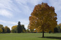 Autumn
