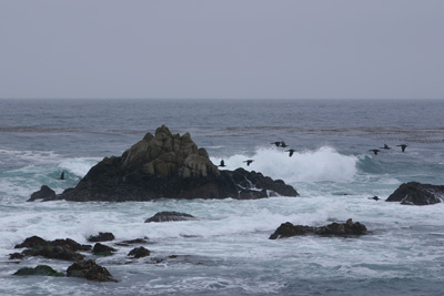 Asilomar State Beach