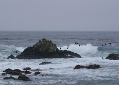 Asilomar State Beach