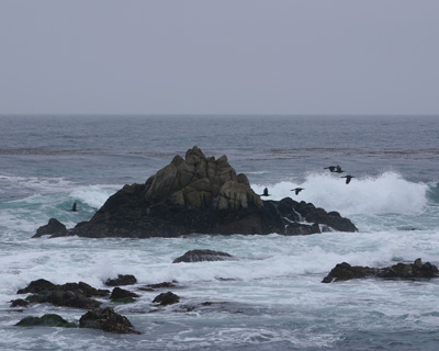 Asilomar State Beach