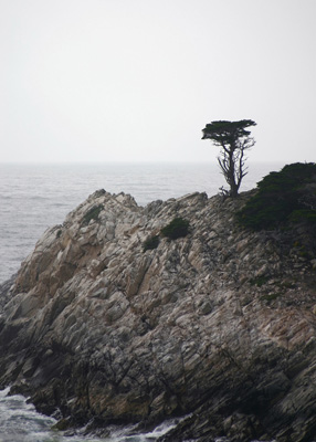 Point Lobos Seascape