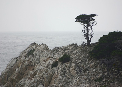 Point Lobos Seascape