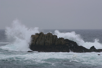 Asilomar State Beach