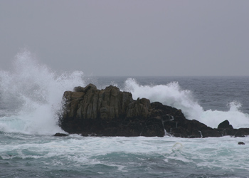 Asilomar State Beach